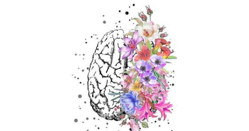 dessin artistique d'un cerveau et des fleures