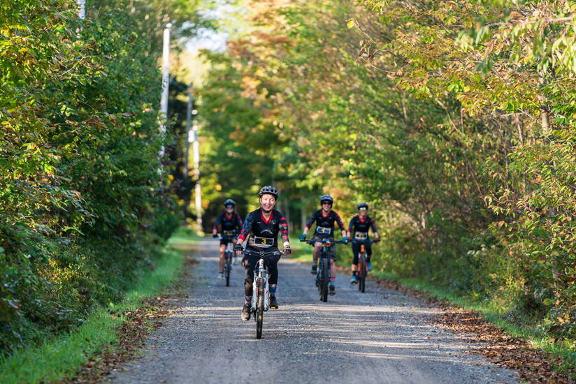 Quatre cyclistes faisant du vélo tout terrain sur une piste de gravier à travers les bois.